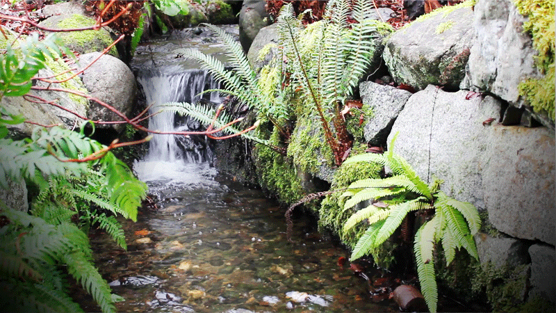 Waterfall 6